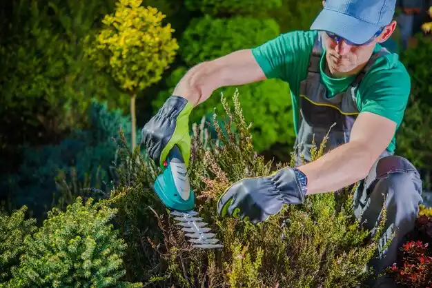 landscaping services Lake Seneca
